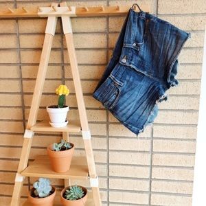 Vintage Levi Shorts ✨